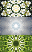Imagami-EnergieMotiv E-Smog Imagami-EnergieMotiv E-Smog