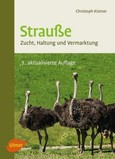 Strauße Strauße