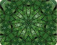 Yoga im Einklang mit dem Alltag - Nackenentspannung, Audio CD